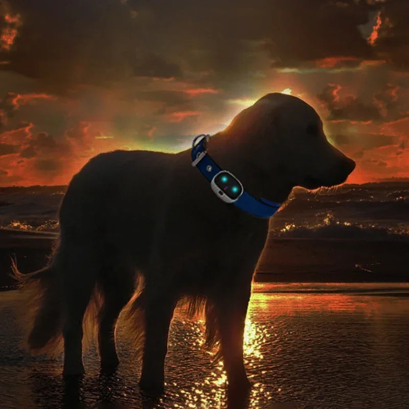 4G GPS Pet Tracker