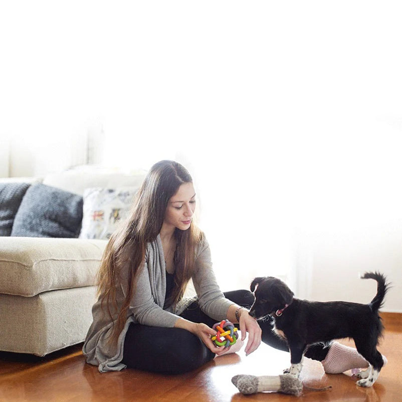 Rainbow Woven Ball Dog Toy with Bell - Bite-Resistant Rubber Chew Toy - Deribla Store