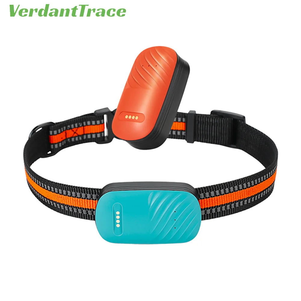 4G GPS Pet Tracker