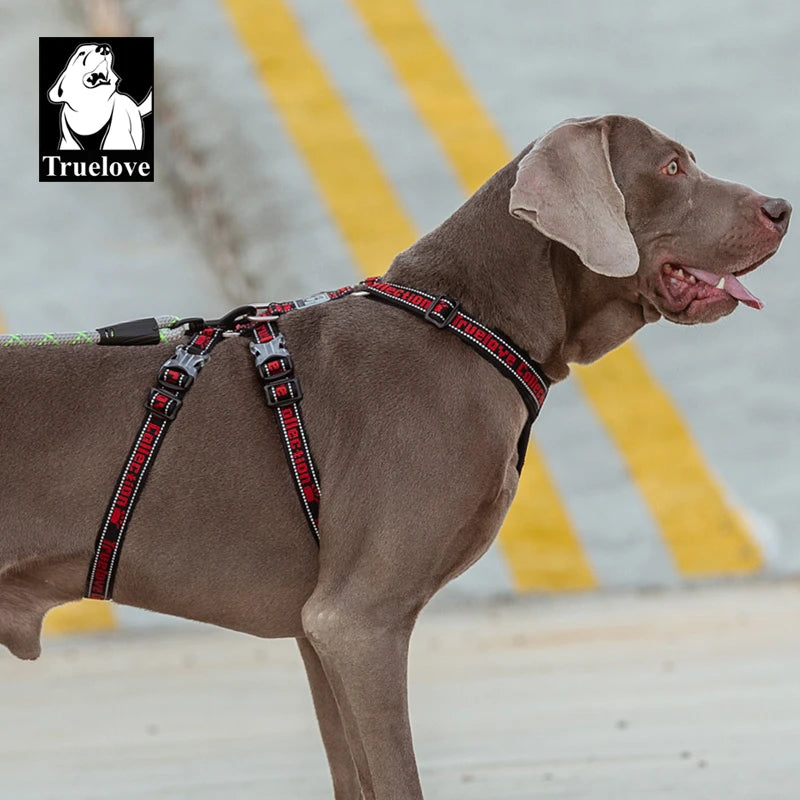 TrueLove Dog Harness 