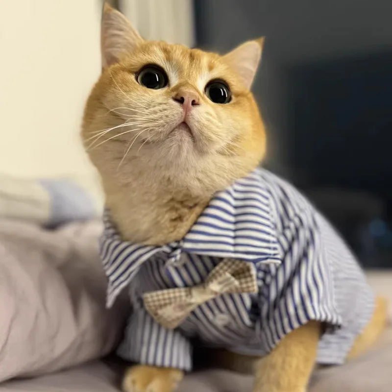 Summer Cat Shirt - Breathable Striped Vest for Cats & Small Dogs - Deribla Store