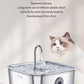 304 Stainless Steel Cat Water Fountain 4L - USB Silent Pump with Triple Filtration - Deribla Store