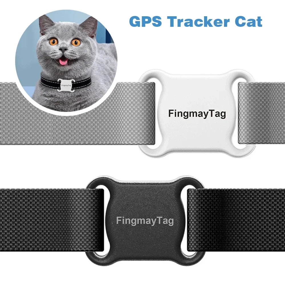 Cat Tracker
