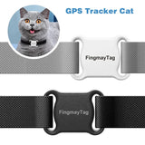 Cat Tracker