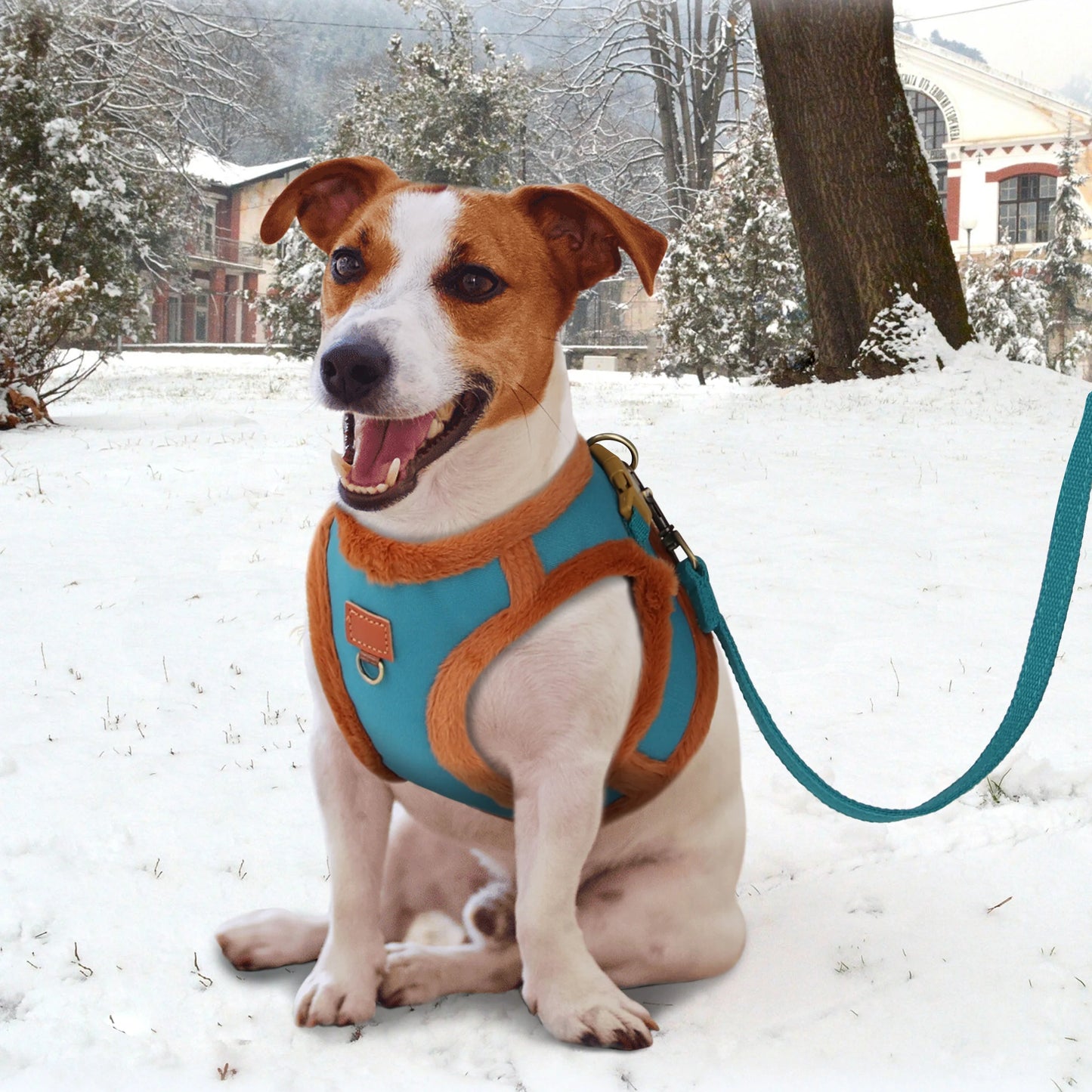 Warm Dog Harness Leash Set 