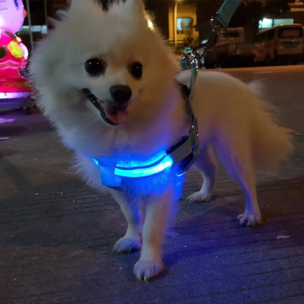 LED Dog Harness 