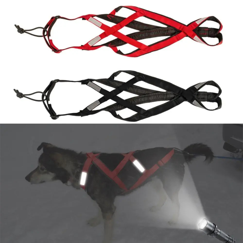 Dog Harness 