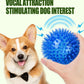 Pet Toy Ball - Sounding Tooth Cleaning Thorn Ball for Dogs & Cats - Deribla Store