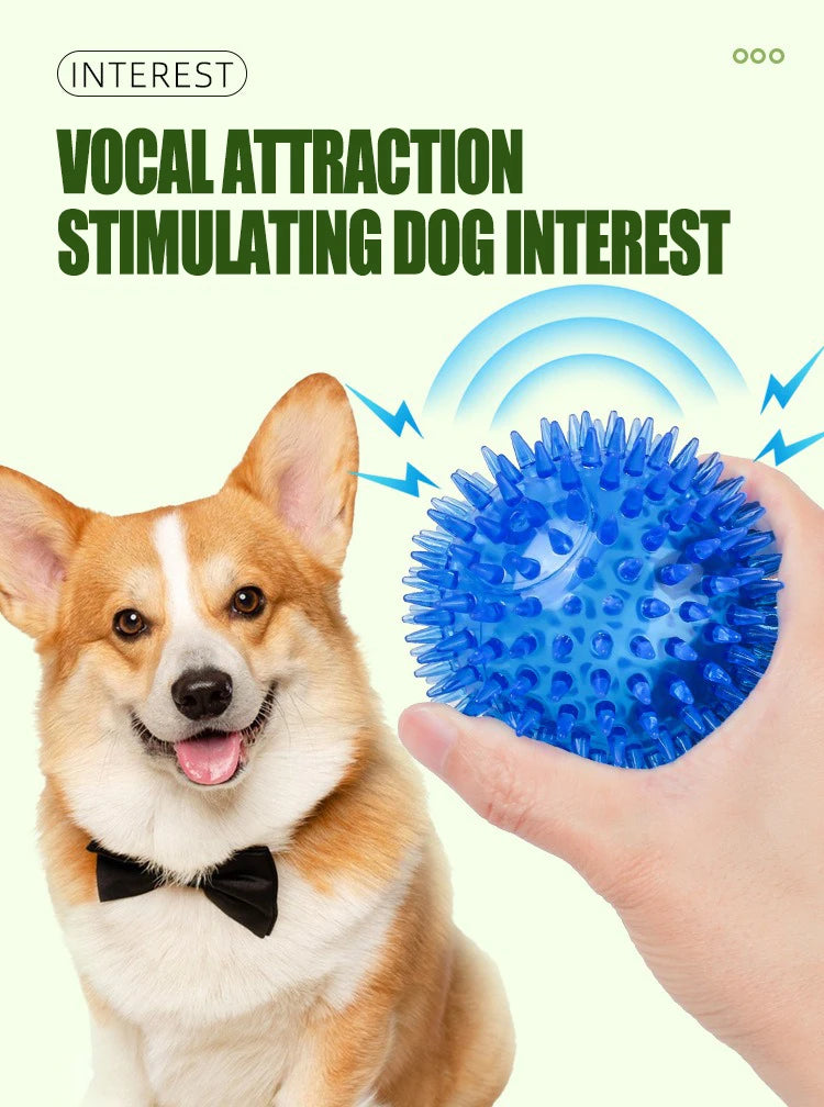 Pet Toy Ball - Sounding Tooth Cleaning Thorn Ball for Dogs & Cats - Deribla Store