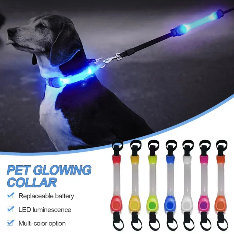 LED Dog Collar - Waterproof Glowing Safety Collar with USB Rechargeable Light - Deribla Store