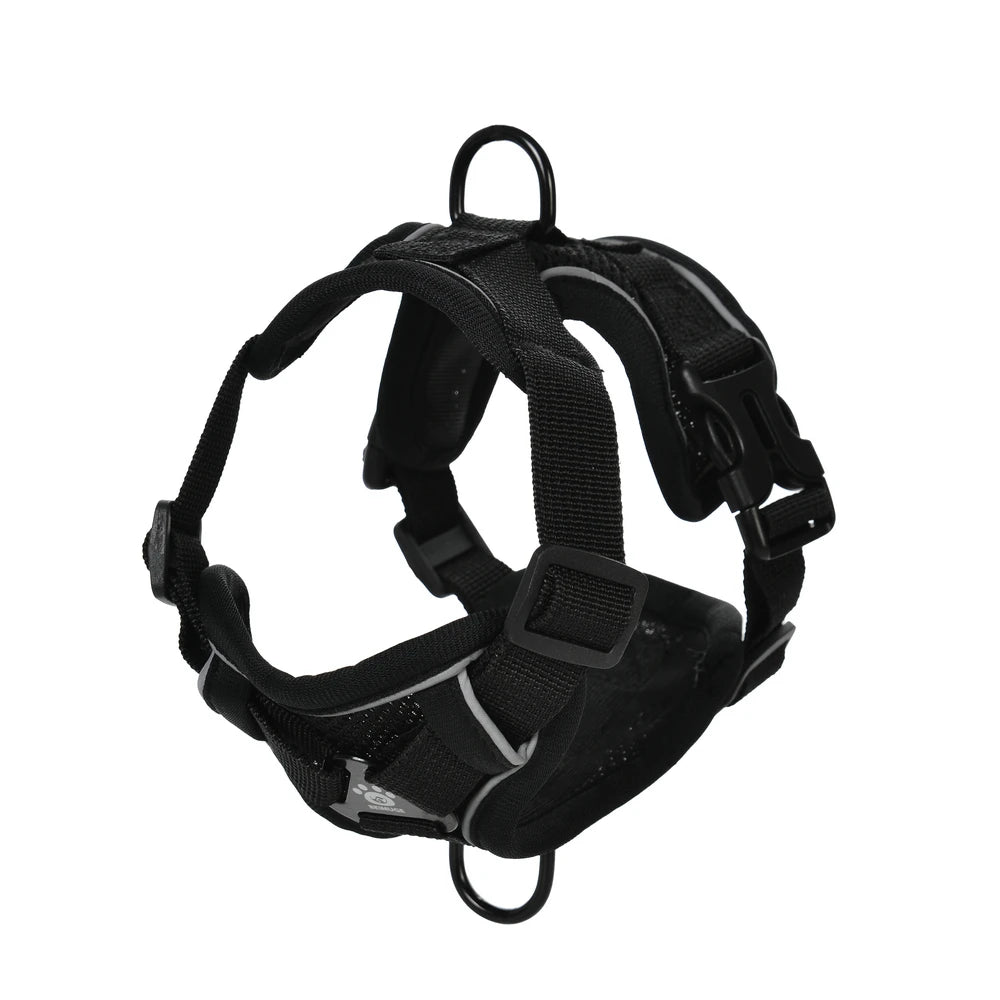 Dog Harness Leash Set 