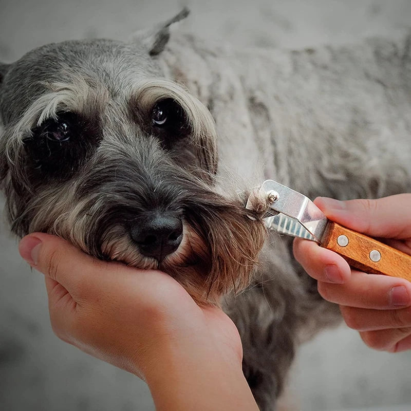 Professional Dog Dematting Comb - Wooden Handle Knot Remover Brush for Dogs & Cats - Deribla Store