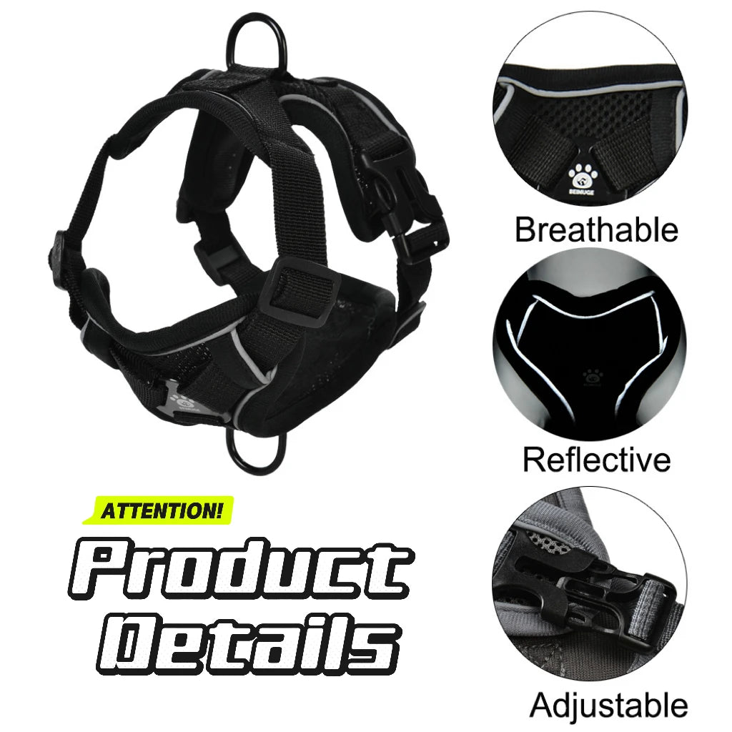 Dog Harness Leash Set 