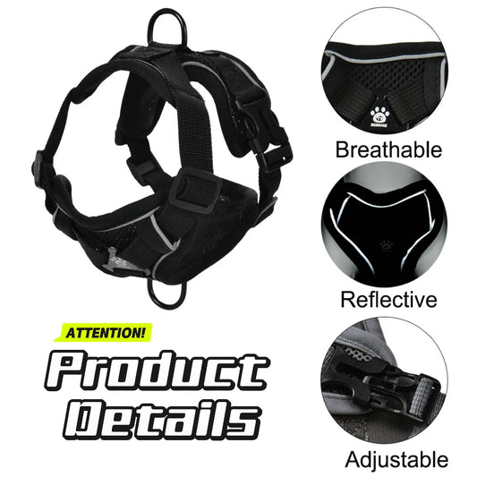 Dog Harness Leash Set 