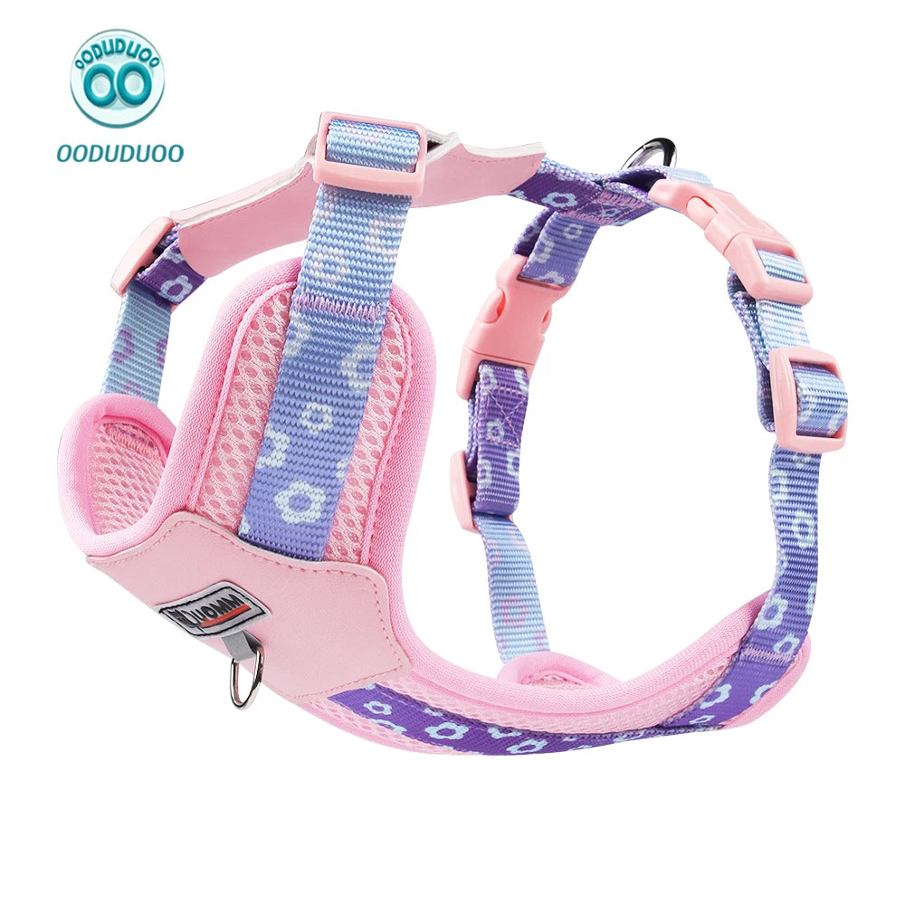 Dog Harness and Leash Set