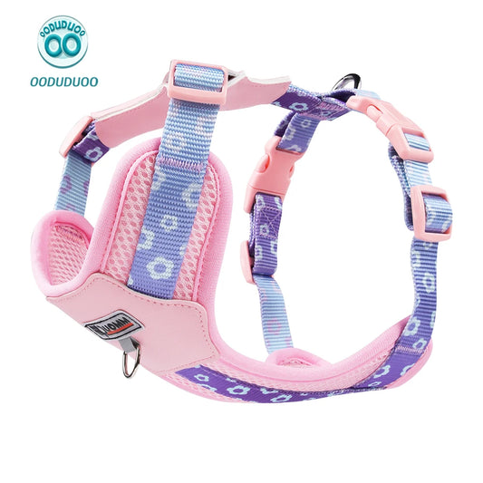 Dog Harness and Leash Set