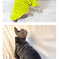 Cat Sweater - Soft Wool Winter Coat for Sphinx & Small Cats - Deribla Store