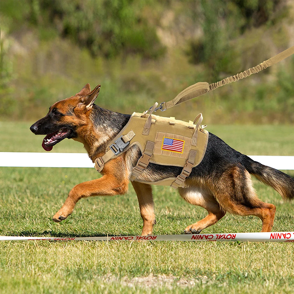 Tactical Dog Harness