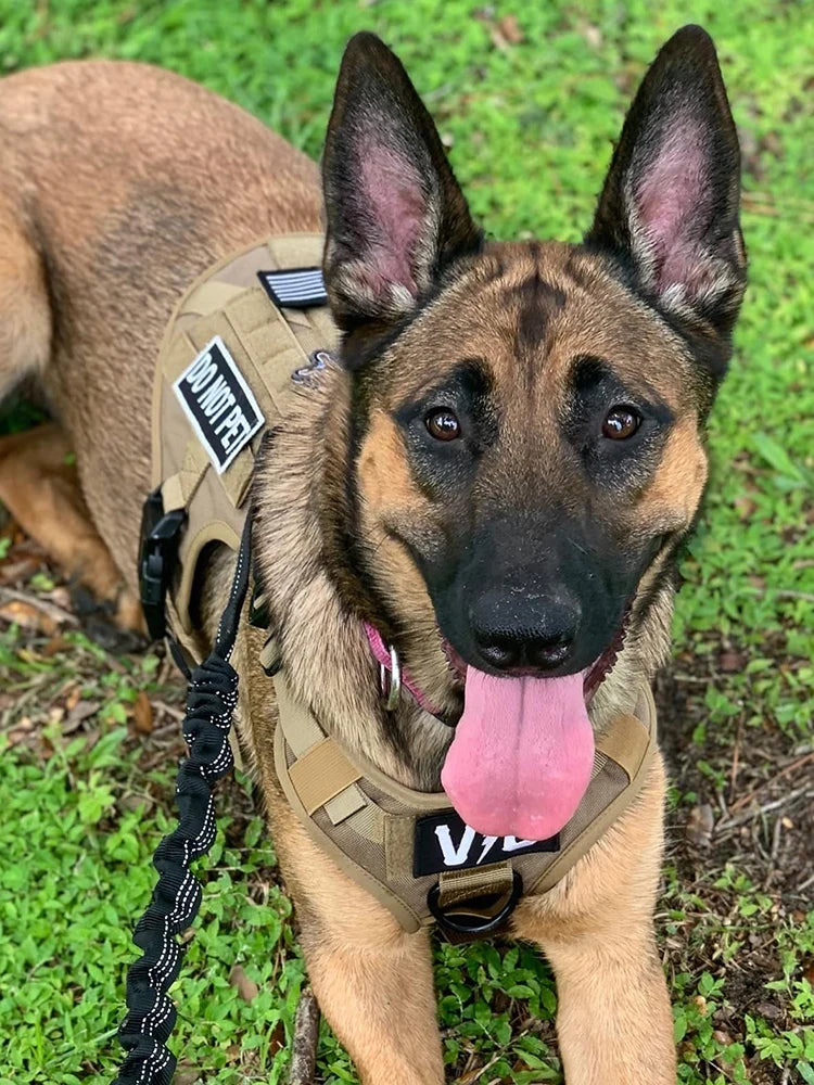 Tactical Dog Harness 