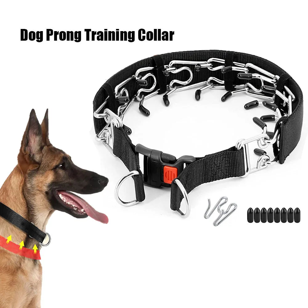 Prong Training Collar for Dogs - Stainless Steel with Rubber Tips for Safe Training - Deribla Store