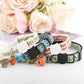 Personalized Cat Collar Breakaway