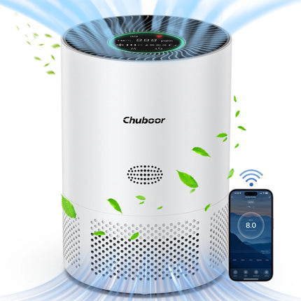 H13 HEPA Air Purifie