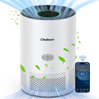 H13 HEPA Air Purifie