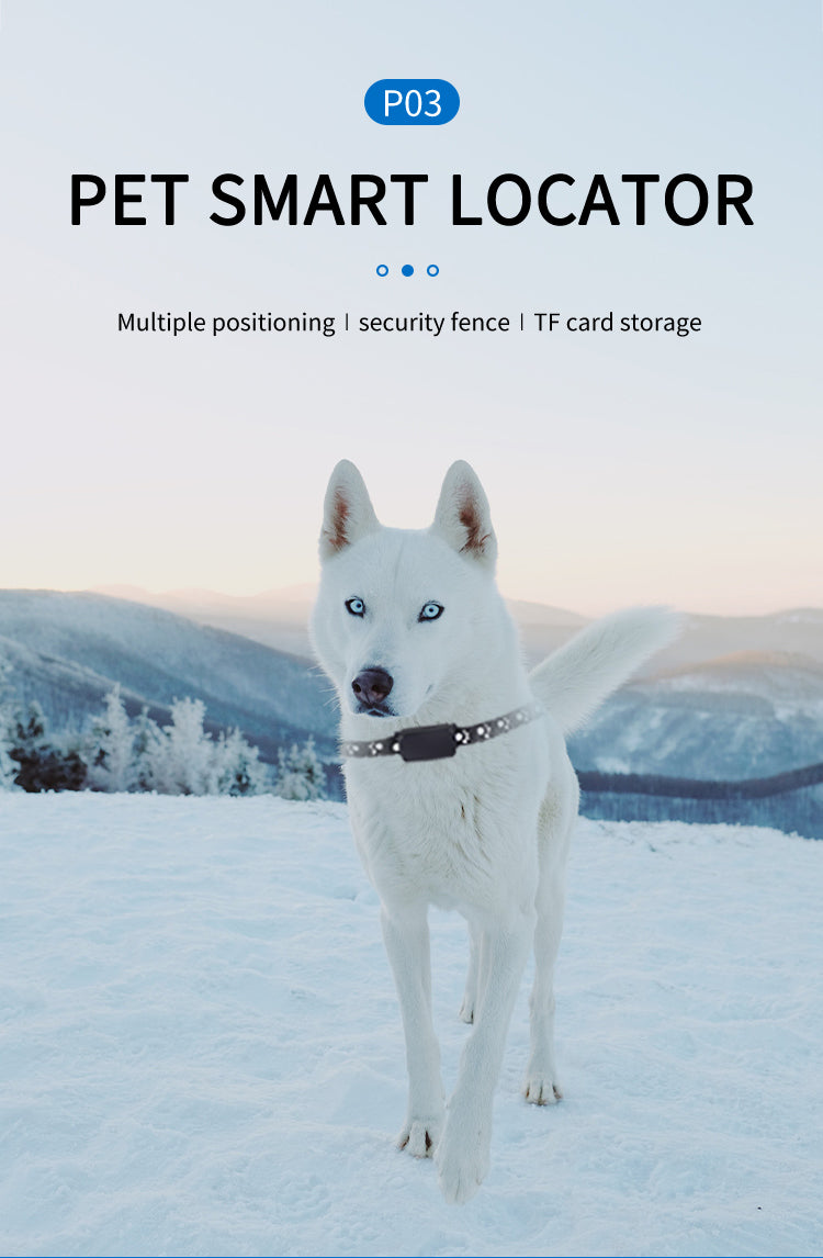 GPS Pet Collar Tracker - Waterproof Anti-Lost Locator with Long Standby & Footprint Tracking - Deribla Store