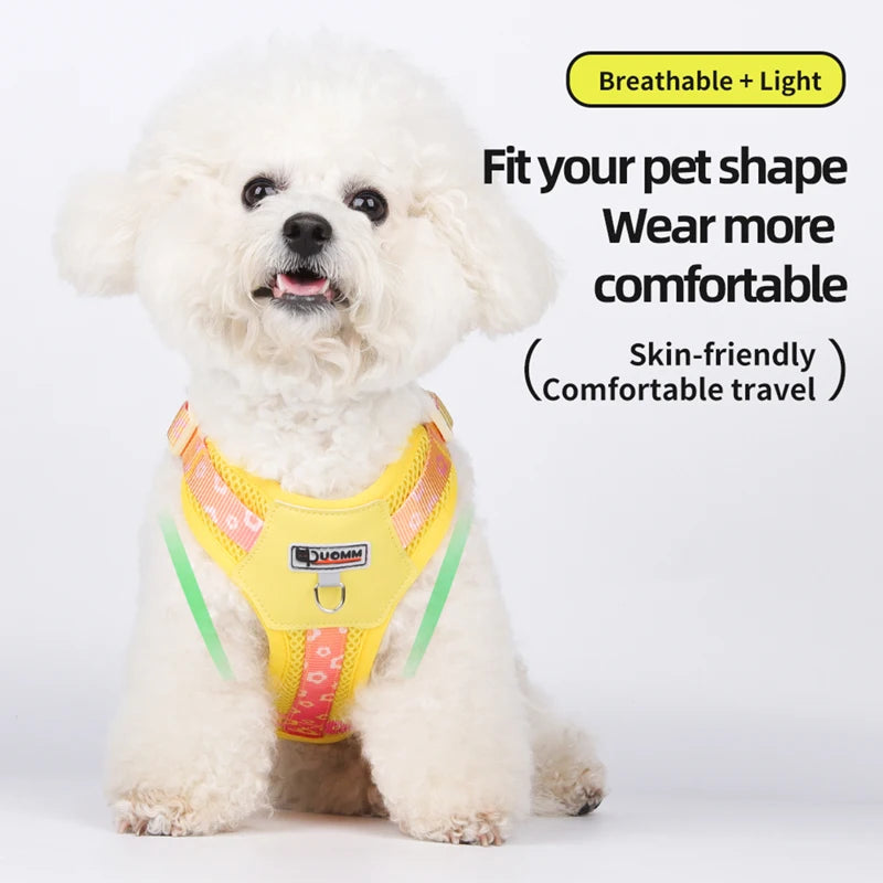 Dog Harness and Leash Set