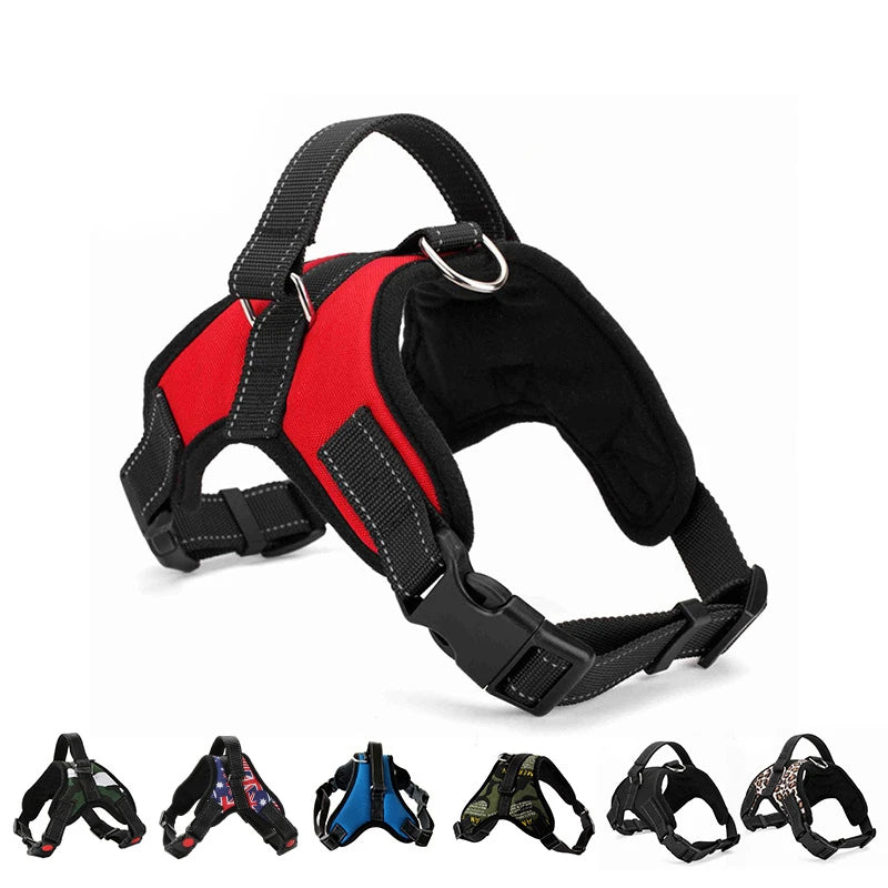 Quick Release Dog Harness