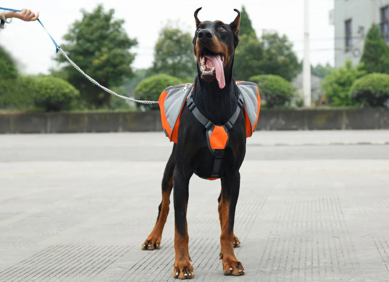 Dog Training Bag Portable - Snack Storage Travel Backpack