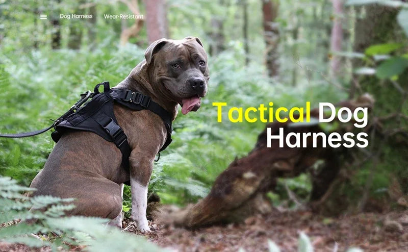 Tactical Military Dog Harness 