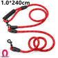 Dog Harness Leash - Hands-Free Shoulder Sling with Double-Head Lead - Deribla Store