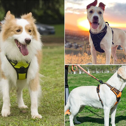 No-Pull Dog Harness - Padded Oxford Vest with Control Handles for Large Dogs - Deribla Store