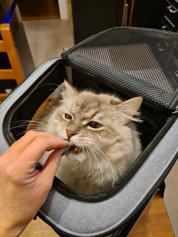 Expandable Pet Carrier Backpack - Large Capacity Breathable Travel Bag for Cats & Dogs - Deribla Store