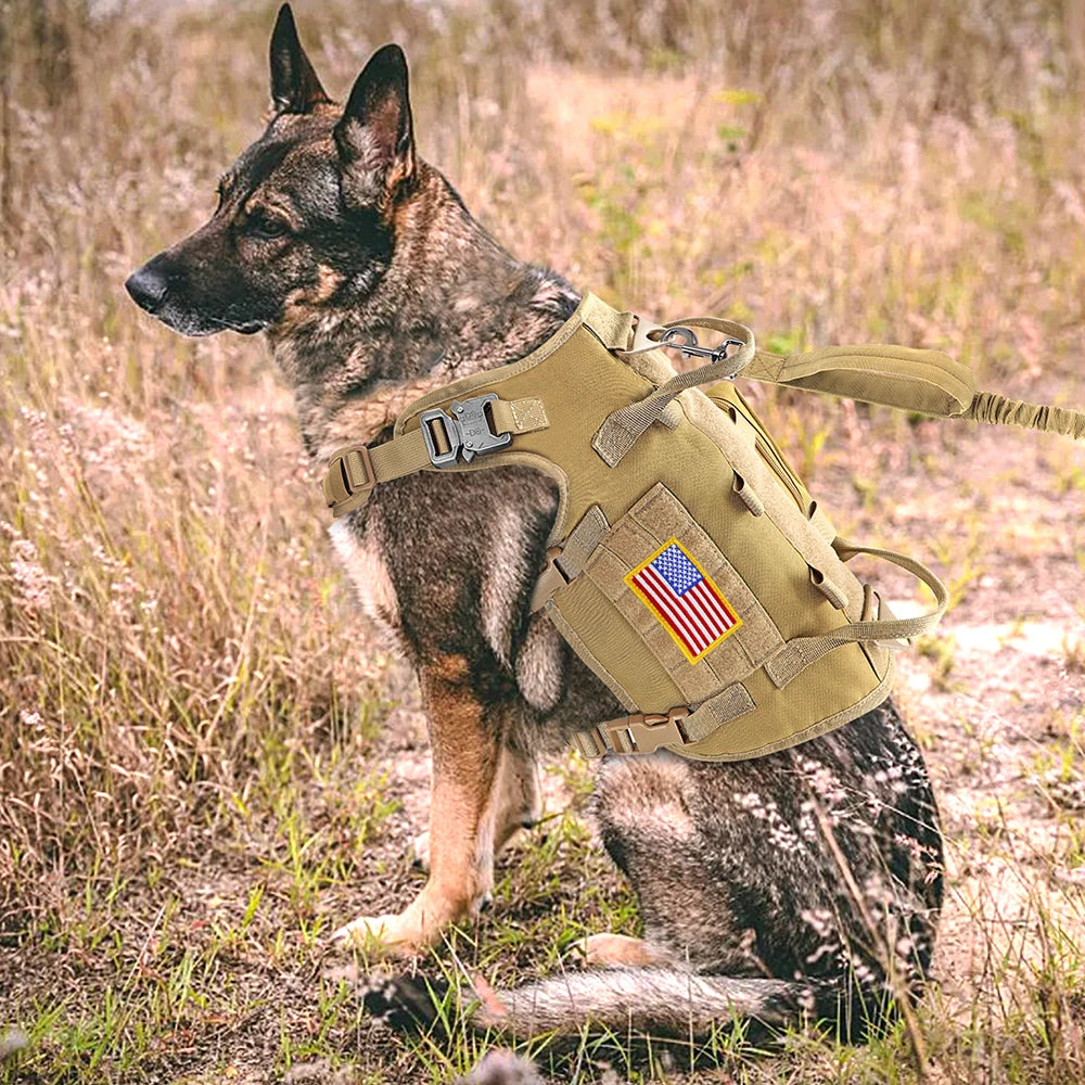 Tactical Dog Harness