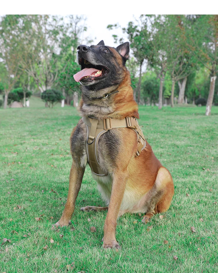 Tactical Dog Harness