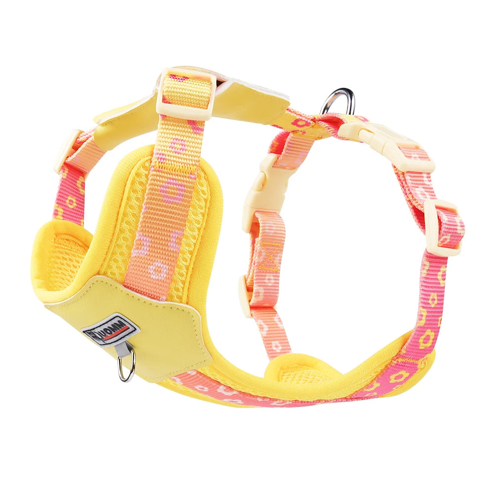 Dog Harness and Leash Set