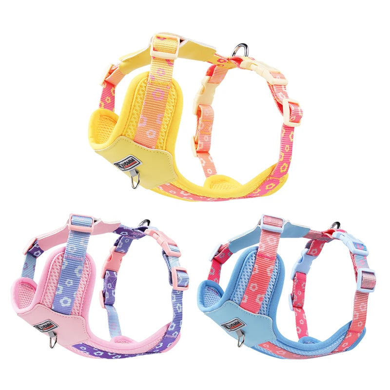 Dog Harness and Leash Set