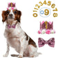 Dog Cat Birthday Crown Hat & Bow Tie Set - Reusable Party Headband with Numbers 0-9 - Deribla Store