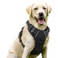 No-Pull Dog Harness - Padded Oxford Vest with Control Handles for Large Dogs - Deribla Store