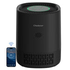 H13 HEPA Air Purifie