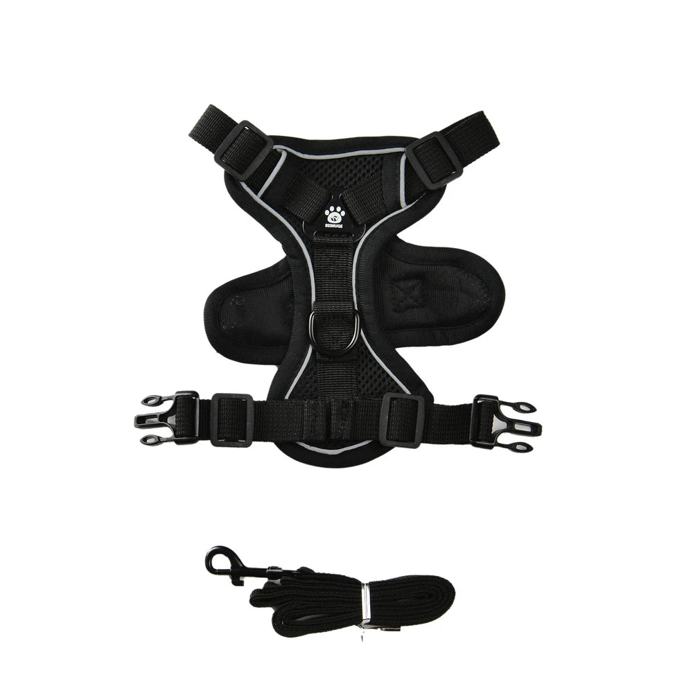 Dog Harness Leash Set 