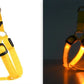 LED Dog Harness 