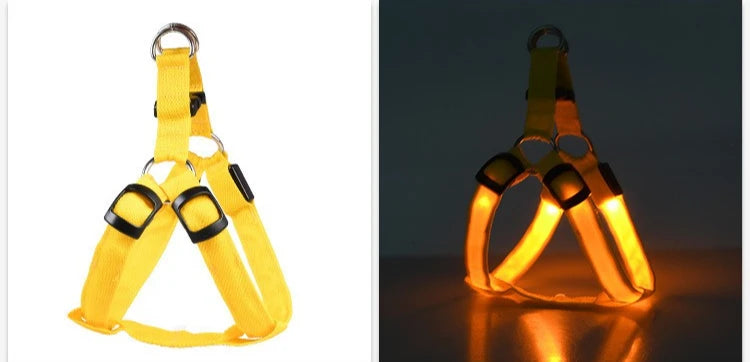 LED Dog Harness 