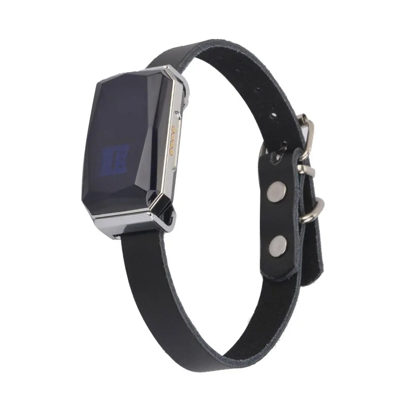 Smart GPS Pet Tracker Collar
