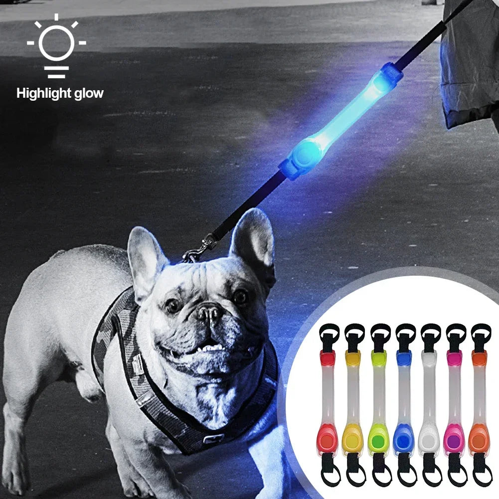 LED Dog Collar - Waterproof Glowing Safety Collar with USB Rechargeable Light - Deribla Store