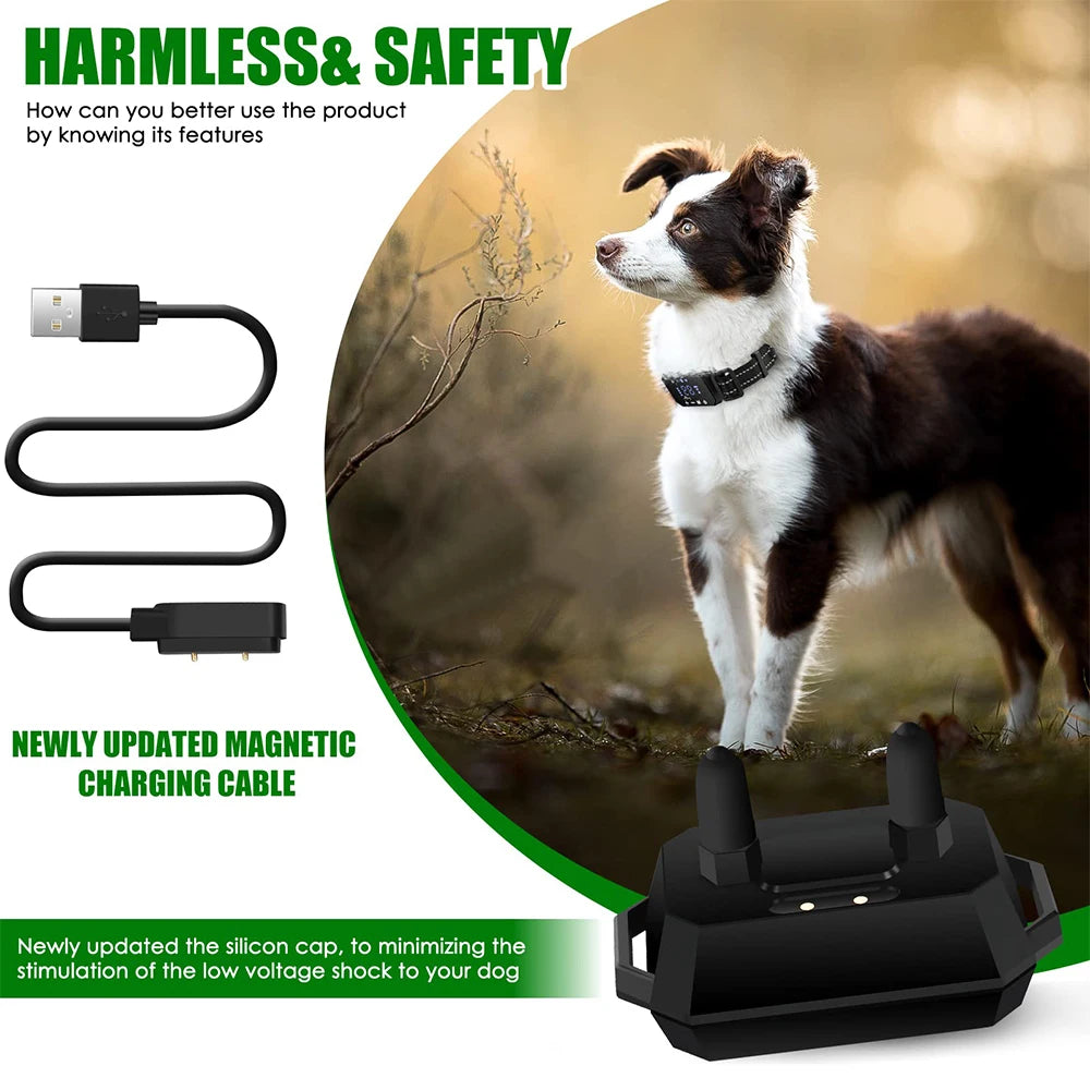 Wireless Dog Fence GPS