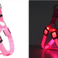LED Dog Harness 