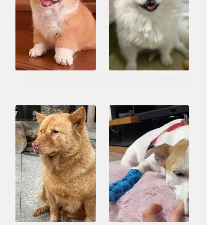 Pet Stairs 2/3 Steps - Memory Foam Dog Ramp with Non-Slip Washable Cover - Deribla Store